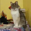 Отзыв от Майя Клюева